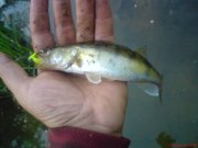 DSC00344.JPG
