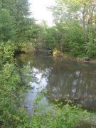 IMG_0577.JPG