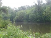 P5160005.JPG