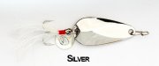 Clogs-silver[1].jpg