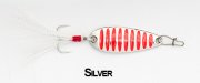 Curvve-silver[1].jpg