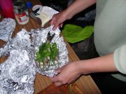 DSC02216.jpg