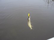 DSC04418.JPG