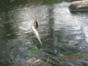 IMG_0325.JPG