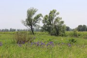 IMG_7859.jpg