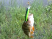 200520122172.jpg
