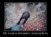59687462_ne-hodi-v-internet-pozhalujsta.jpg