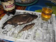 IMG_3903.jpg