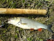 DSC01352.jpg