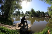 IMG_8106.jpg