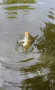 IMG_8170.JPG