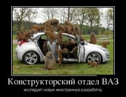 1337616551_demotivatory_25.jpg