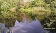 IMAG0849.jpg