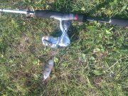 IMAG0321.jpg