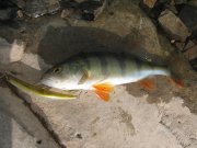 IMG_0578.JPG