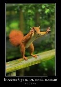1337879672_demotivators_30.jpg
