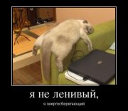 1337879641_demotivators_21.jpg