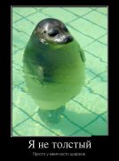 1337879617_demotivators_24.jpg