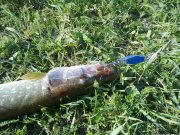 250520122252.jpg