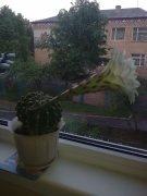 Фото0883.jpg
