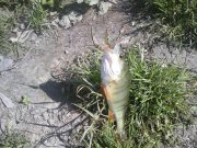 270520122258.jpg