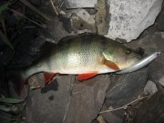 IMG_0590.JPG