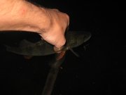 IMG_0588.JPG