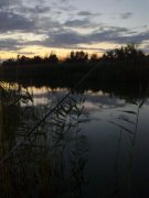 26052012060нн.JPG