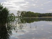 IMG_0641.jpg