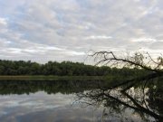 IMG_0644.jpg