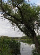 IMG_0645.jpg