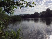 IMG_0665.jpg