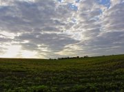 IMG_0648.jpg