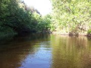 20120526_071352.jpg