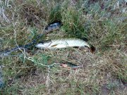 27052012752.jpg
