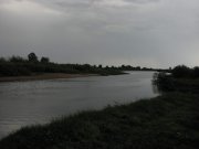 IMG_1224.jpg