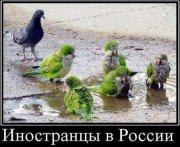 9g3q4-iq-k0.jpg