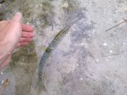 300520122264.jpg