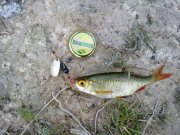 300520122265.jpg