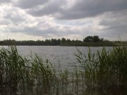 300520122267.jpg