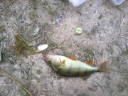 300520122269.jpg