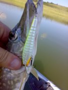270520121636.jpg