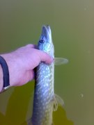270520121638.jpg