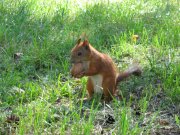 IMG_1321.jpg
