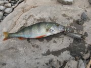 IMG_0599.JPG