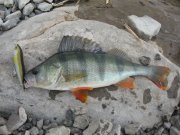IMG_0600.JPG