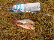 IMG_20120601_184449.jpg