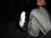IMG_0959.JPG
