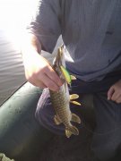 IMG_20110516_080616.jpg