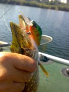 140920111204.jpg
